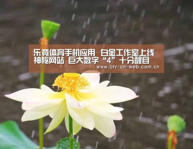 乐竟体育手机应用-白金工作室上线神秘网站 巨大数字“4”十分醒目(图1) 乐竟体育App下载