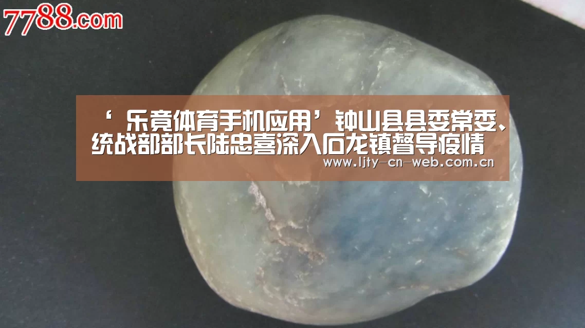  乐竟体育手机应用