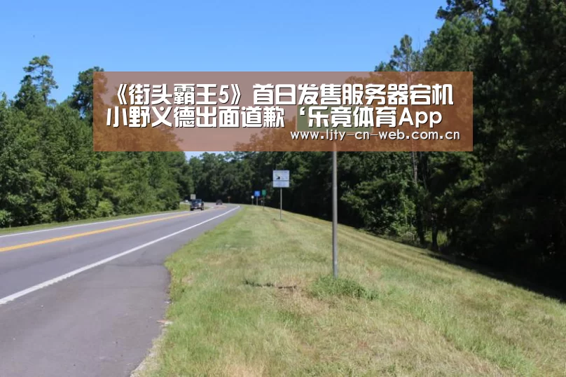 《街头霸王5》首日发售服务器宕机 小野义德出面道歉‘乐竟体育App下载’(图2) 乐竟体育手机应用