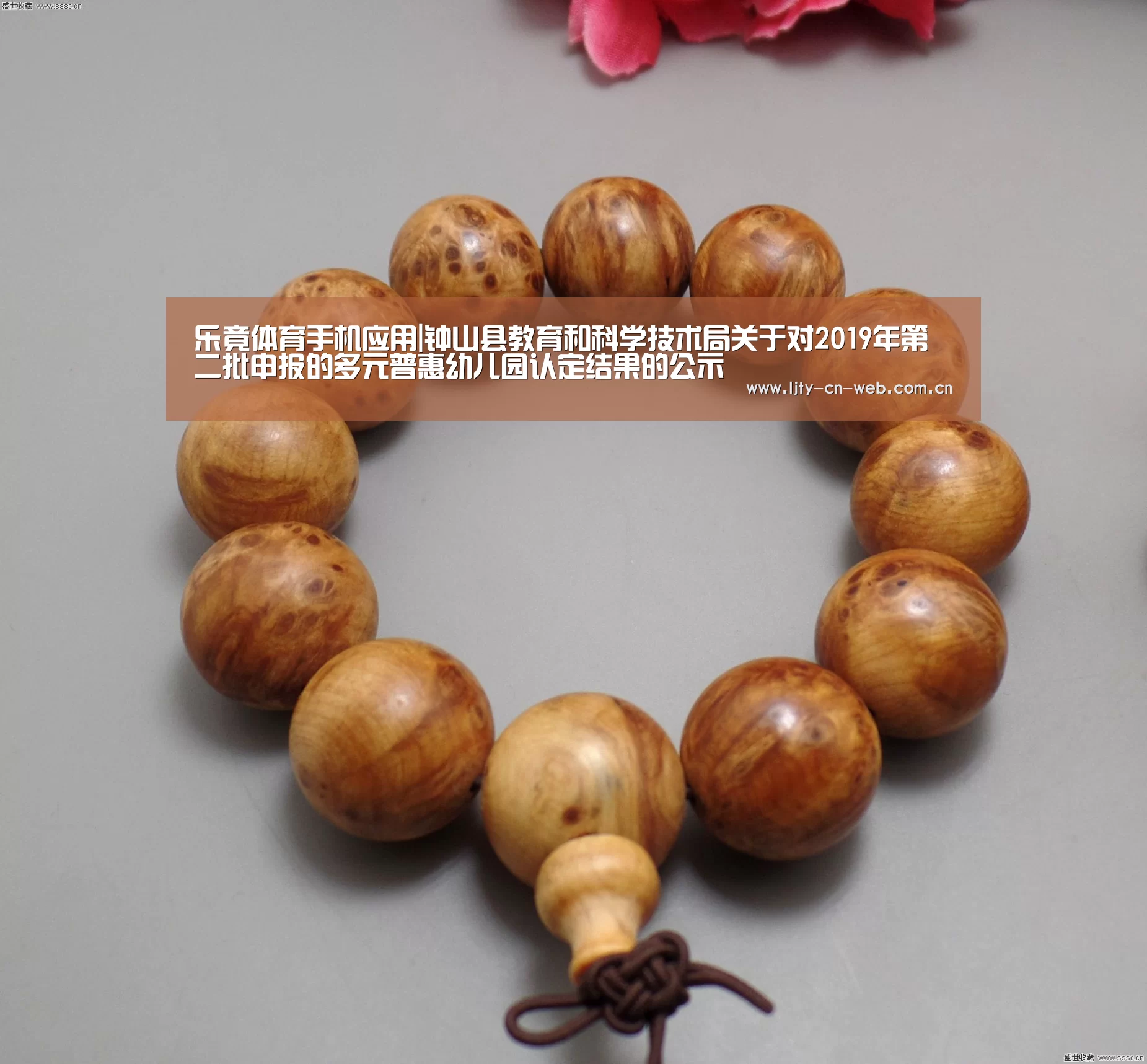 乐竟体育手机应用|钟山县教育和科学技术局关于对2019年第二批申报的多元普惠幼儿园认定结果的公示(图4) 乐竟体育手机应用