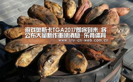  乐竟体育手机应用