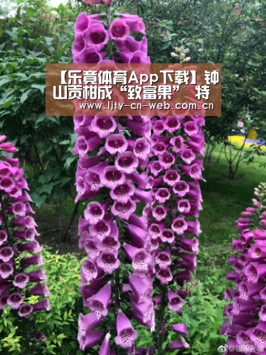 乐竟体育App下载