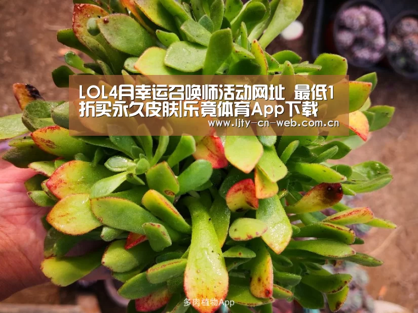LOL4月幸运召唤师活动网址 最低1折买永久皮肤|乐竟体育App下载(图1) 乐竟体育App下载