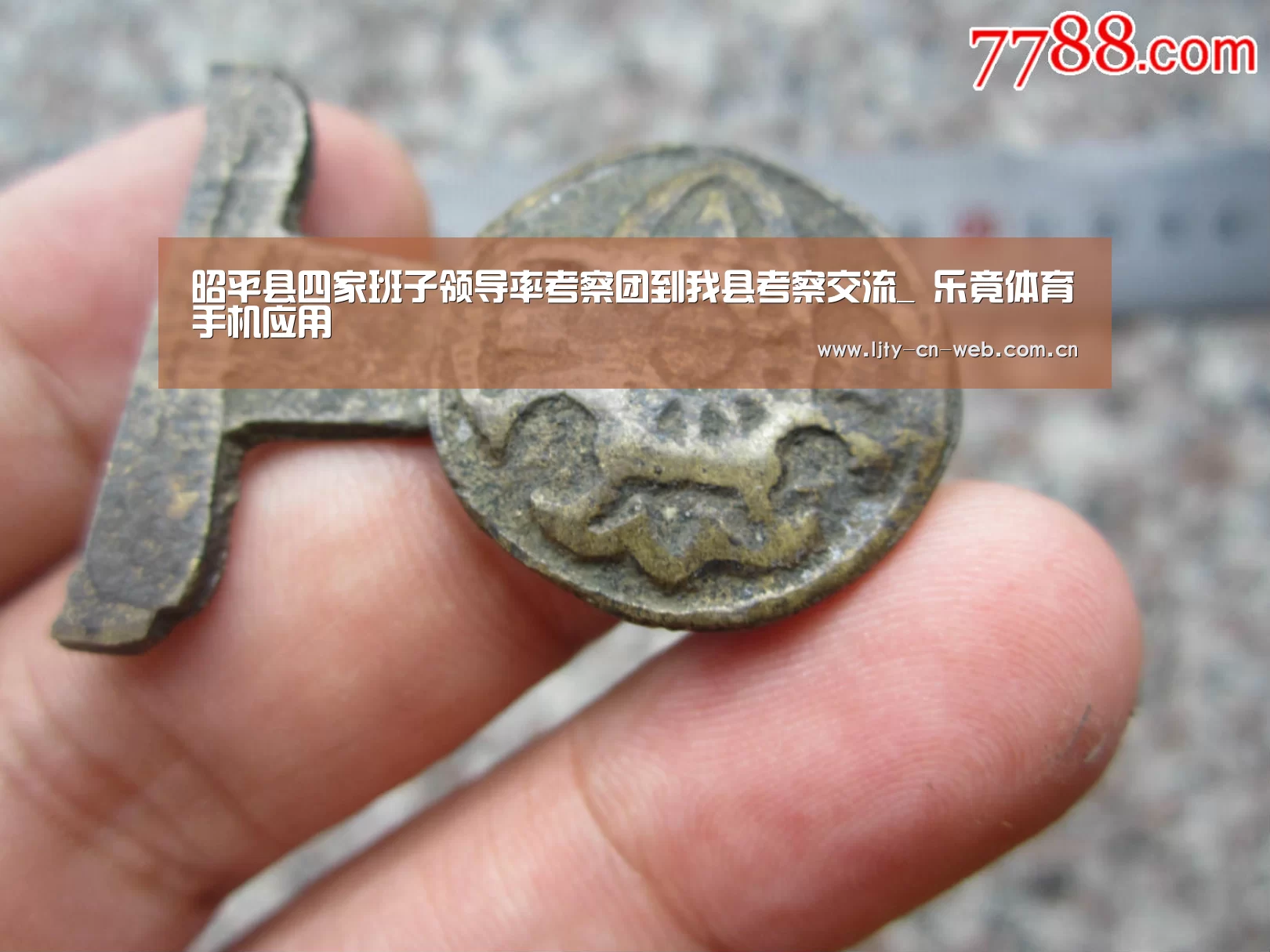 昭平县四家班子领导率考察团到我县考察交流_ 乐竟体育手机应用(图2) 乐竟体育App下载